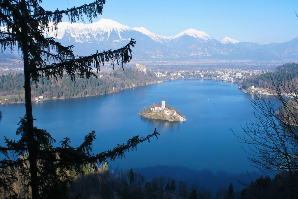 Penzion Zaka Bled Extérieur photo